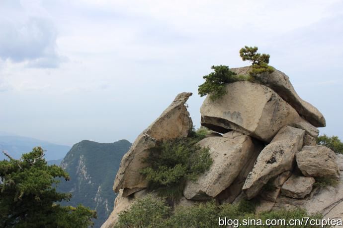 诗意华山