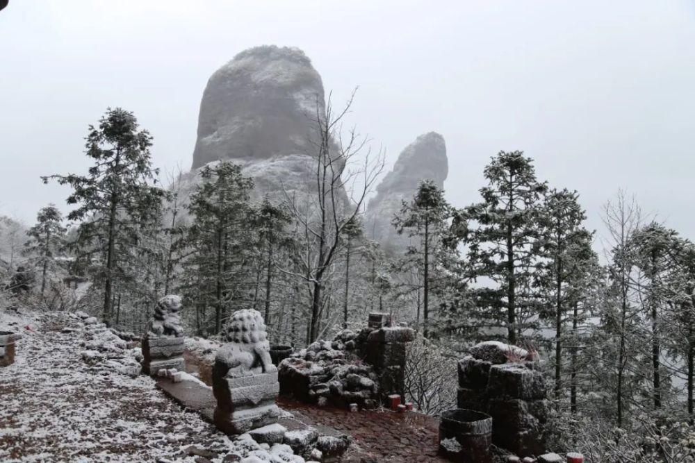 雪景|丽水这些地方下雪了，美炸了~最新雪景美图，请签收