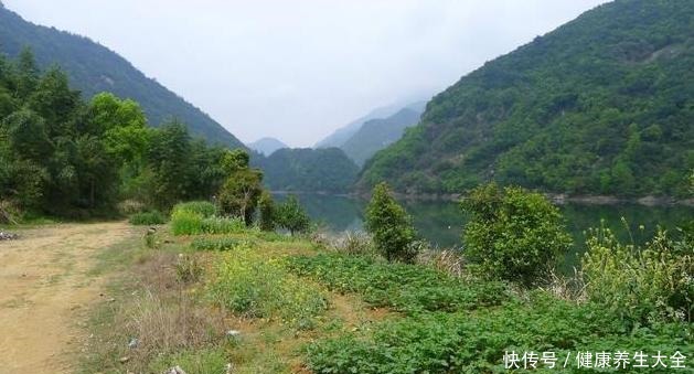 深山|她独居深山30年不出，病死在床上才被发现，公布身份后令人震惊