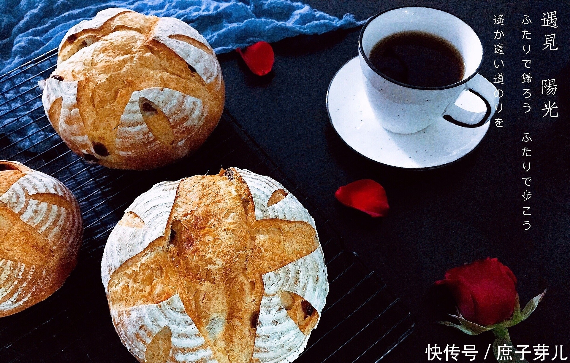 全麦葡萄干软欧包