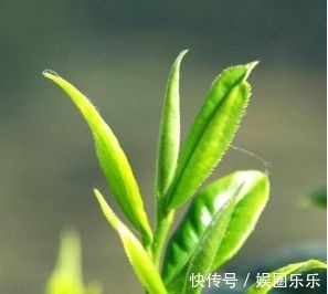 氨基酸 谁说国货护肤品不如日韩这些“宝藏”级护肤品,我只想无限回购!