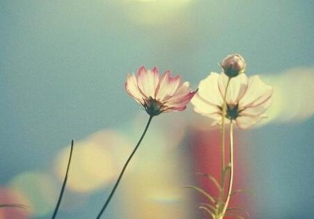 福报|一个人,越自律,福报越多