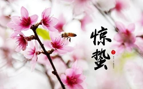 惊蛰后，不管有钱没钱，餐桌5宝不能少，顺应时节，家人都受益