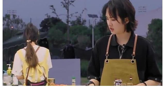 哈佛|姚安娜把蔥誤認成韭菜，后期幫她挽尊，哈佛高材生身份被質疑