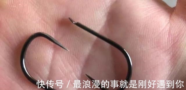 钩条|野钓别只用伊势尼!想大小通杀,还是这几种鱼钩效果更好