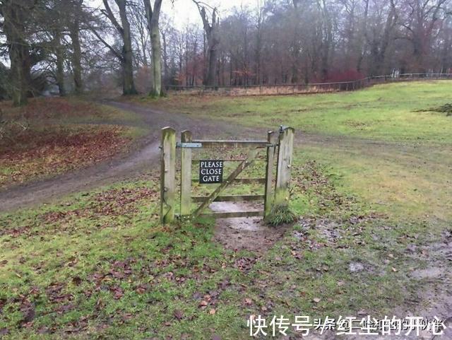 |网友分享的25个奇怪而搞笑的事情,你看过几件?