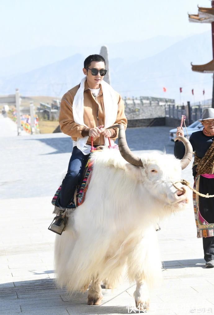 奔跑吧黃河篇首播：蔡徐坤騎牦牛，baby吃大蒜，成毅又憨又認真