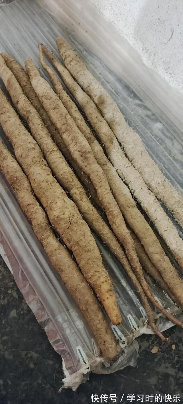 秋裤|当我的老父亲学会网购后，一脚一个坑