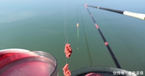 冬季别急着封竿,再冷都可以钓鱼,找准方法,大鲫鱼轻松入鱼护!