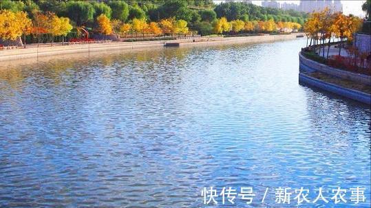 钓友|河北一男子野钓渔获蛇皮袋装，妻子却全部送邻居，网友：适当索取