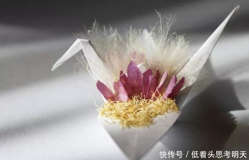  重样|每天折一只千纸鹤，他坚持了1000天不重样，女友被感动到梨花带雨