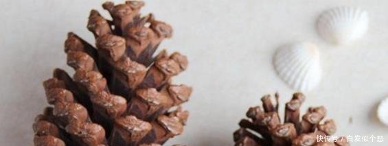 爷爷捡回3种“小东西”来养花,往土里埋“1点”,2年不用施肥!