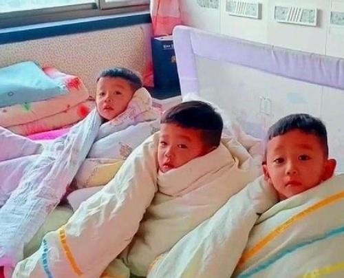 小知识|三胞胎兄弟赖床不起,整齐的裹着被子,网友:排排坐,好可爱!