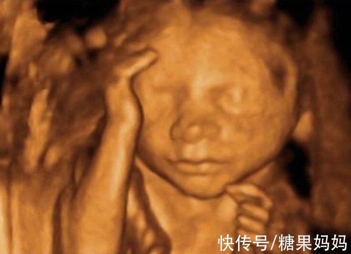 举动|当胎儿“饿肚子”时，会有怎样的反应？下意识的几个举动好萌