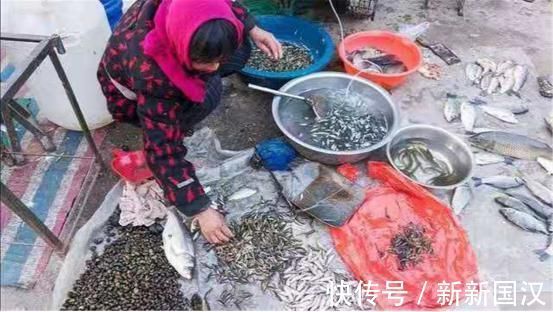6元一斤无人问津，以前的“淡水鱼王”，为何不受待见了？