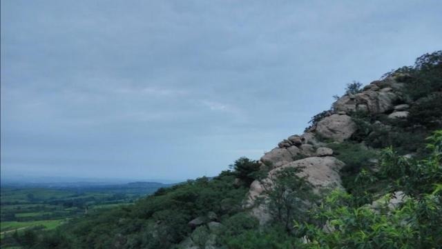 旅日|对于一座山的开发和保护，竟让人知晓了一位旅日华侨对家乡的眷恋