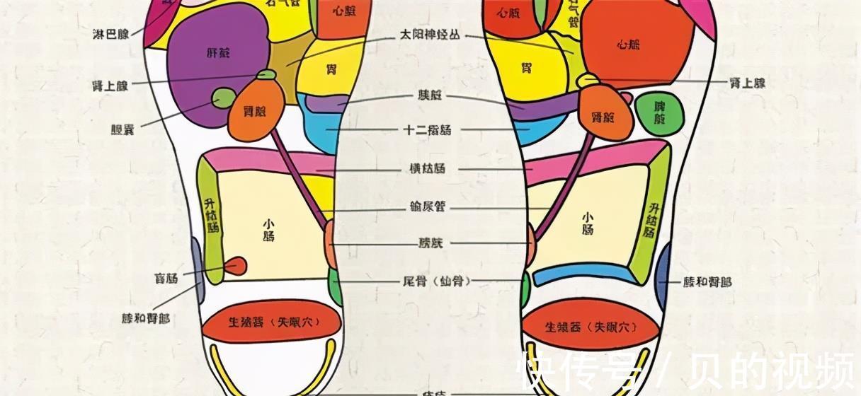 代茶饮|高血压自然降压的方法