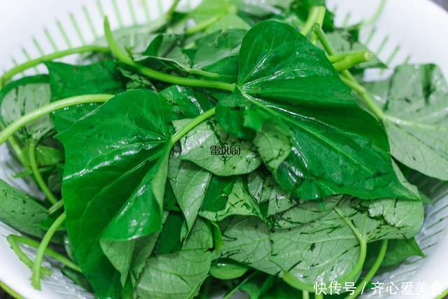 长寿|很多人冷落了这种瓜的叶子,它可是真正的长寿食材,蔬菜皇后!