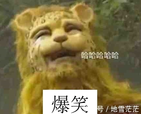 最近的朋友圈,跑进来一只豹子