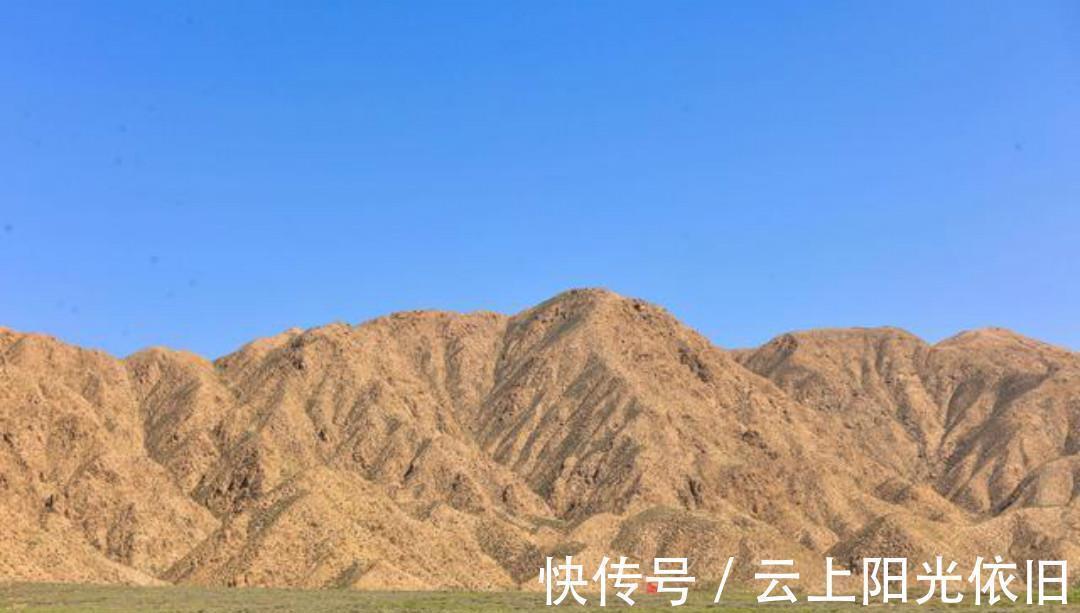 赠质上人@一首很有哲理的唐诗,每一句都是人生箴言,值得我们去细细品读!