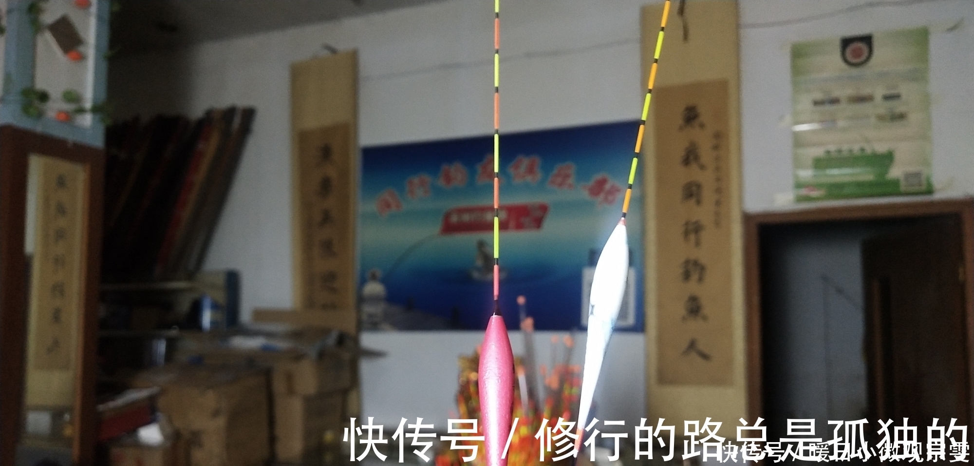 扁尾|一支浮漂打天下还真行不通，想要应对各种渔情，少不了这几种浮漂