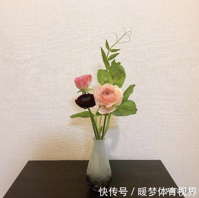 极简主义者|她的26㎡!一个极简主义者的家,全屋一尘不染毫无杂物,学习了