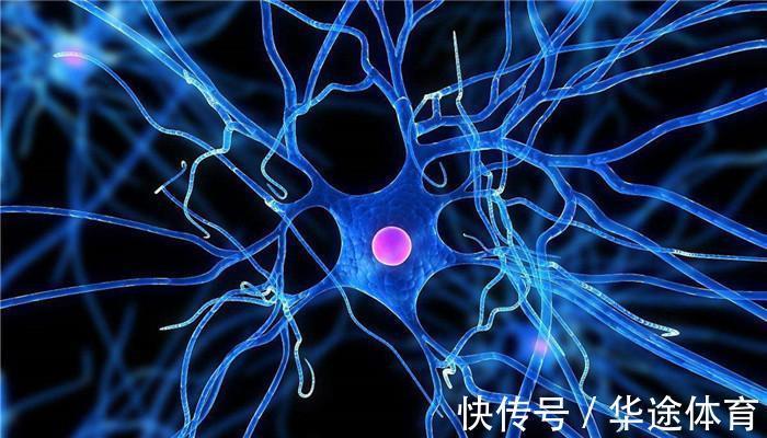 身体|老年人身体有5个“风向标”，若都很正常，要先说一声恭喜了