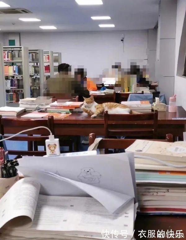 |甜粽和咸肉粽要打起来了 冷段子1830