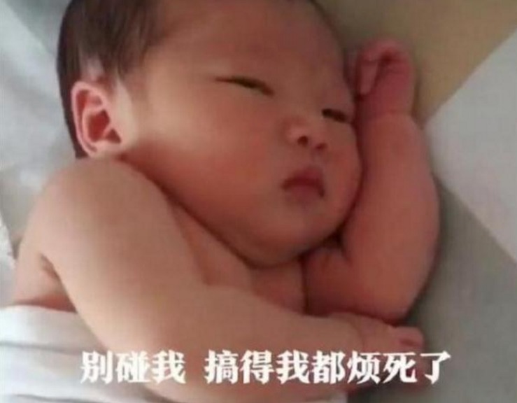 宝宝刚出生没几天,就开始“一脸嫌弃”,网友:就这家庭也敢生我
