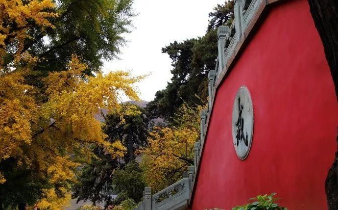 门头沟|古寺有灵知秋日，芳华无限在戒台——到门头沟最美的寺庙打卡