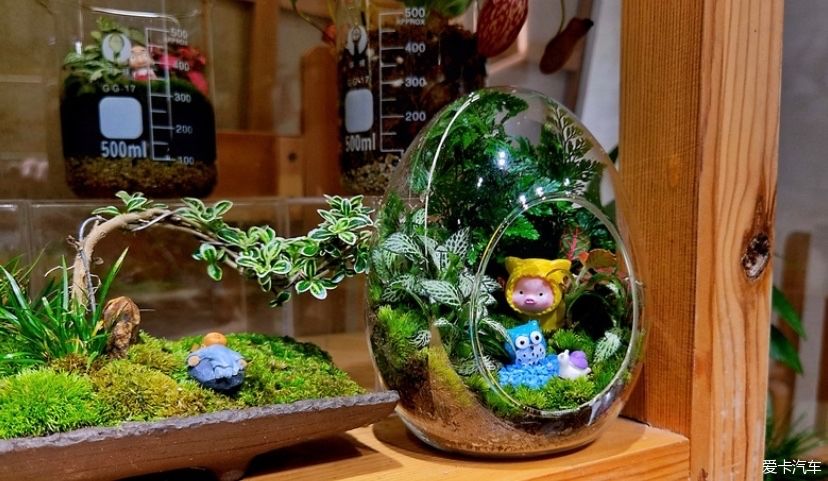 冬天的峨眉一个童话般的冰雪世界，真是美不胜收