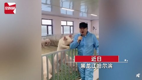 男子猪圈里开“演唱会”，每次唱歌猪超捧场，竟还收获意外“效果”！