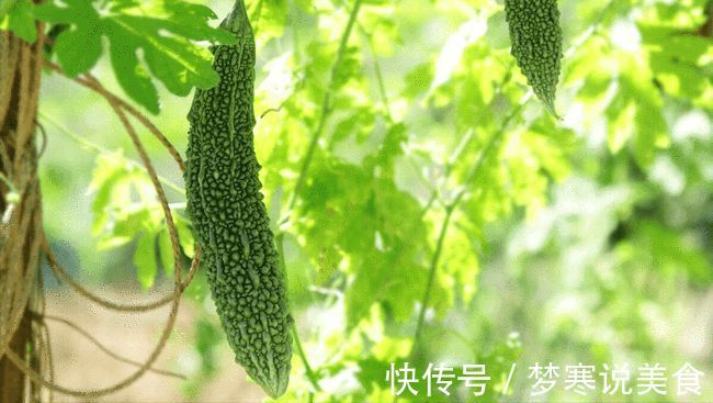 饺子|秋季进补少吃2绿,多吃3红3白,降秋燥,忌寒凉,顺应时节身体棒!