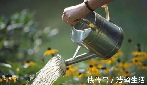 修剪|养花一定要戒掉的坏习惯，不然家里全是空花盆，啥花也养不好