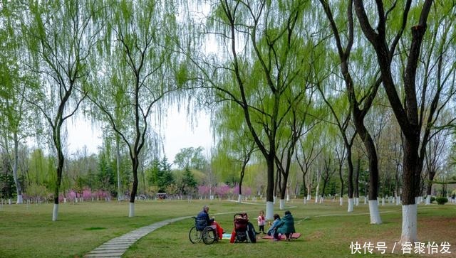 走，带上家人去野餐！《济南春日野餐指南》请收好！