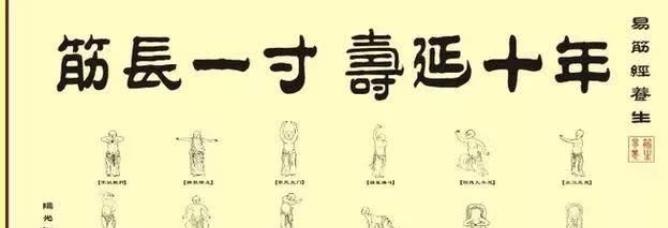 慢性劳损|筋长一寸,寿延十年,养生必知人体保护“神筋”的7大功能与作用