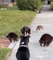 |搞笑动图:小兄弟:不要悲伤,人生的路还很长啊!