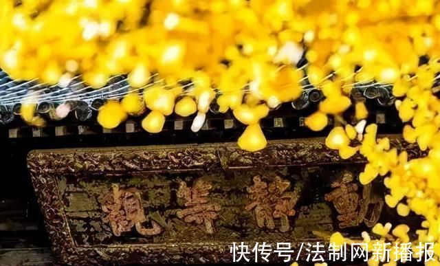 度宗咸淳$诗僧笔下的秋天,不仅有最美的秋色,还有浓浓禅意,令人回味无穷