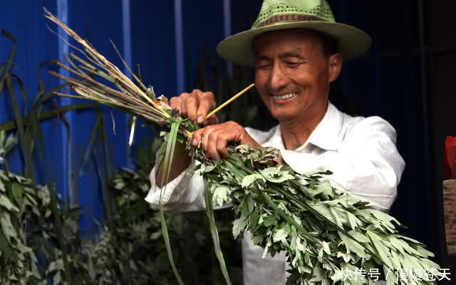 习俗|端午节插艾草有说法,老话说“五讲究三不挂”指的是什么?