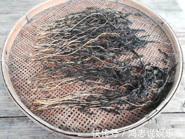 炖肉|这菜不花钱,营养极高,很多人当垃圾扔,晒干了炖肉特香,别浪费