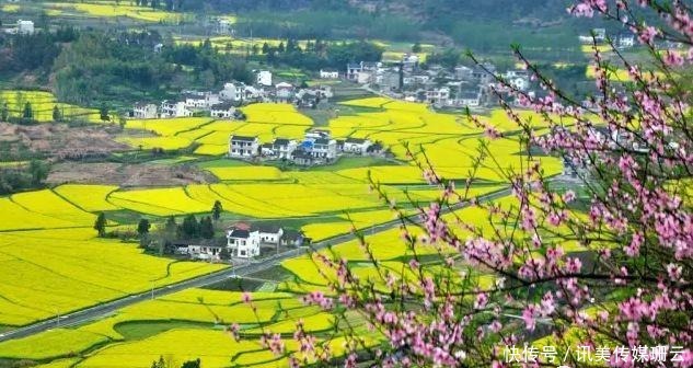 圆弧|【安徽油菜花】最全徽州油菜花赏花地图来了，这份攻略要收好