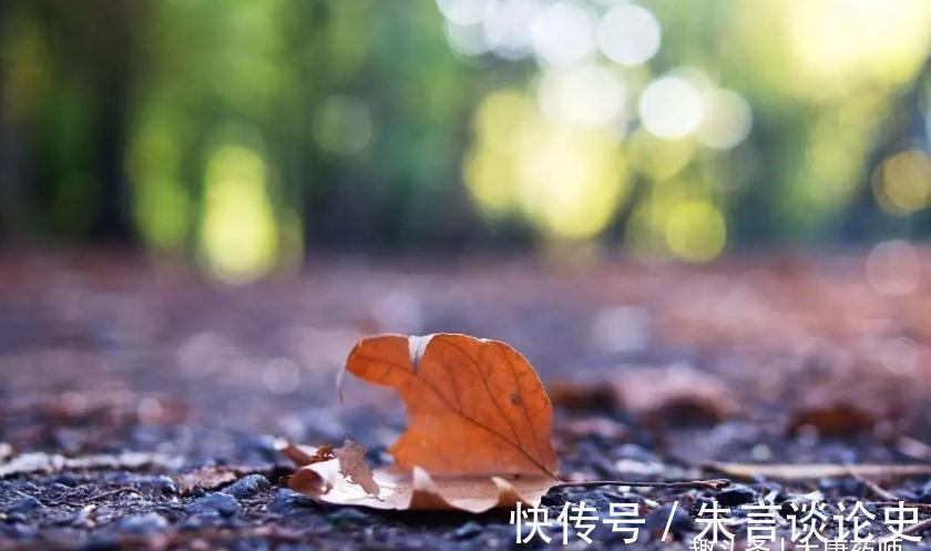 阴阳|秋分后，寒气渐重，遵循4条养生秘诀，平衡阴阳，全面增强抵抗力