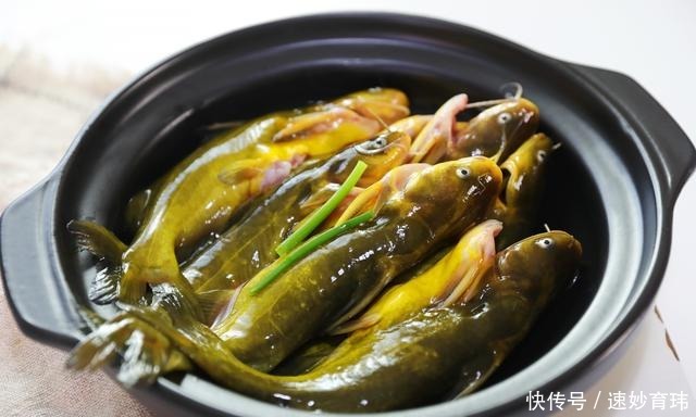 黄辣丁这样吃才过瘾，肉质鲜嫩，开胃下饭，砂锅底都挑干净