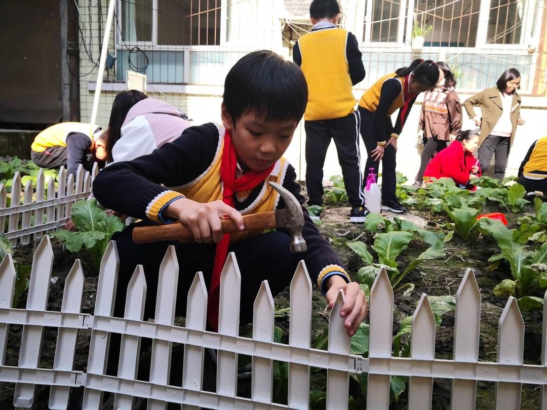 老师|校长来了｜成都东城根街小学校长赖晗梅：践行美好真教育