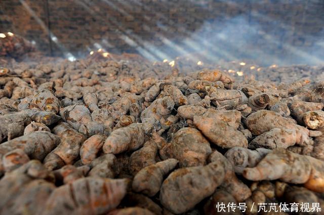 本经逢原|花似喇叭,块根像红薯,李时珍:填骨髓,长肌肉,生精血!