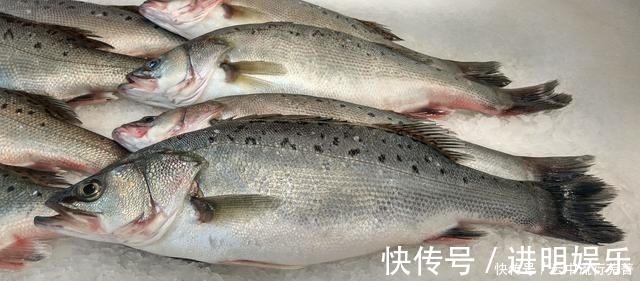 鱼贩|买鲈鱼，认准大的你就得吃亏，学会这3招，鱼贩都忍不住夸你内行！