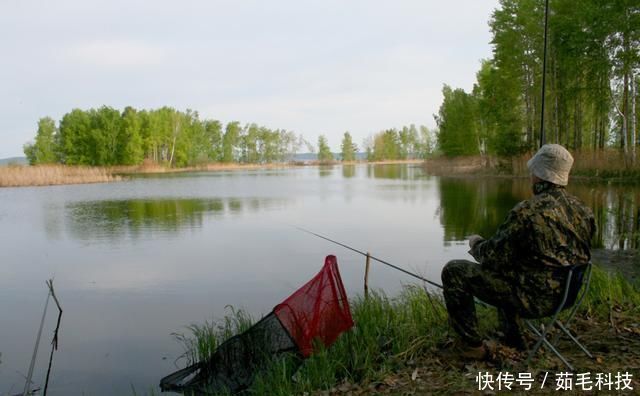 技巧|实用钓鱼技巧分享，掌握这些一准不吃亏，对提升渔获帮助很大