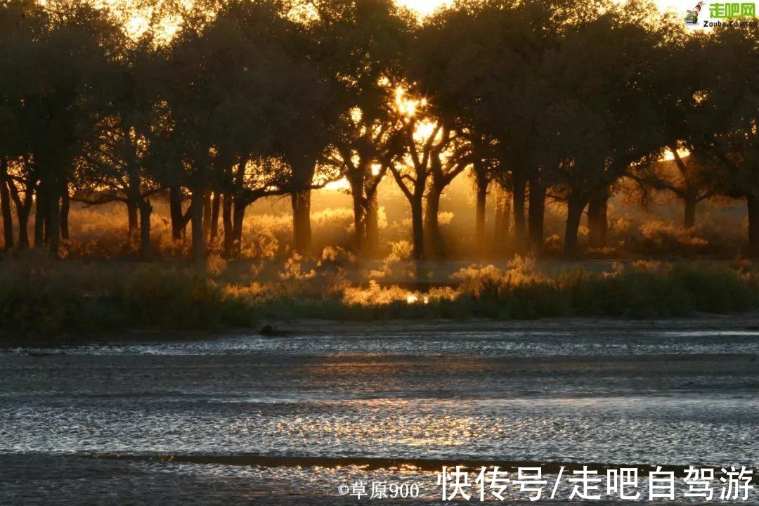 景区|额济纳“黄金盛宴”来了！住景区，穿越无人区峡谷，错过要等一年