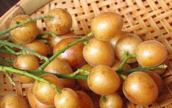 人到中年想长寿,没事多吃3种水果,美容养颜,增强人体免疫力!