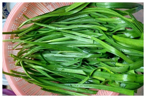 包韭菜馅饺子，直接拌馅就错了！做对这3步，韭菜不出水，更翠绿